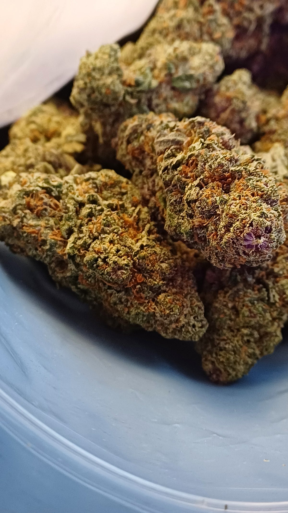 Orange Blood Diesel - Indoor CBD - 1G | 3,5G | 7G