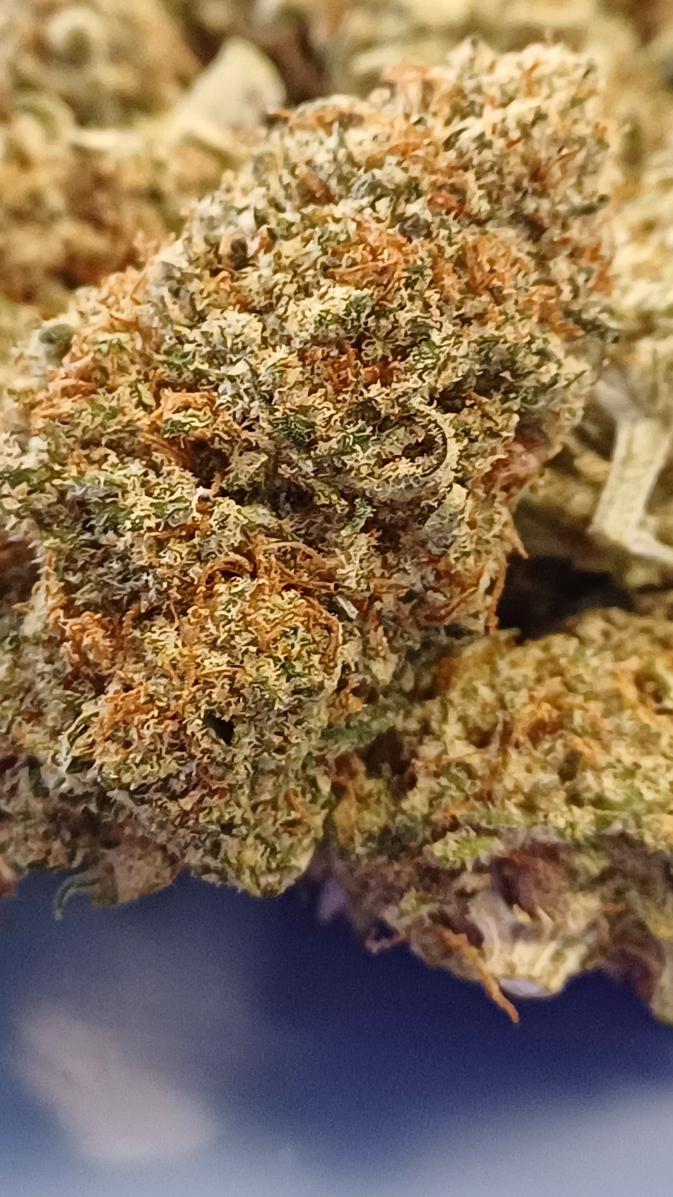 Sweet Paradis - Indoor CBD Premium - 1G | 3,5G | 7G
