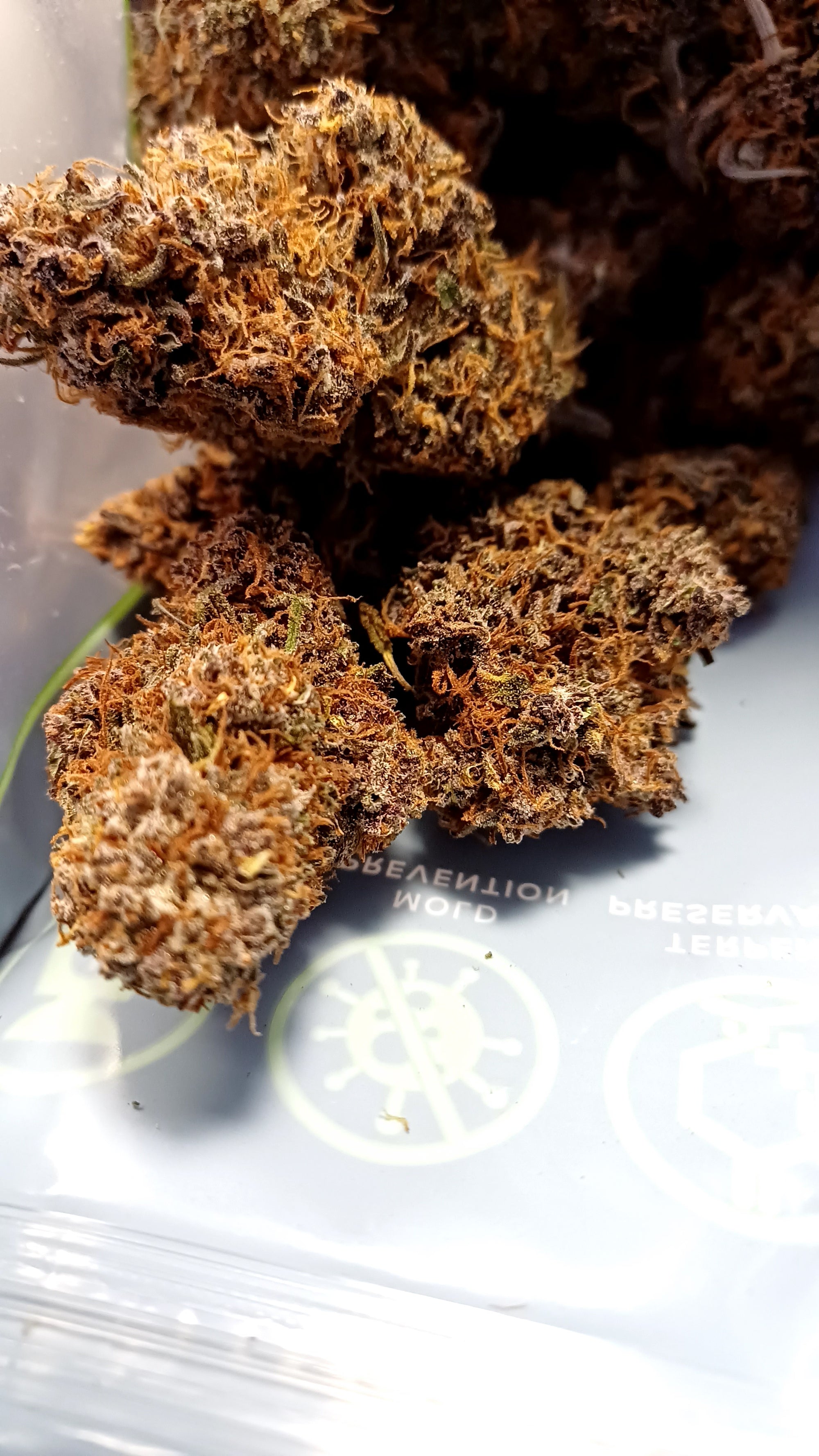 Sapphyre Kush - Indoor CBD - 1G | 3,5G | 7G