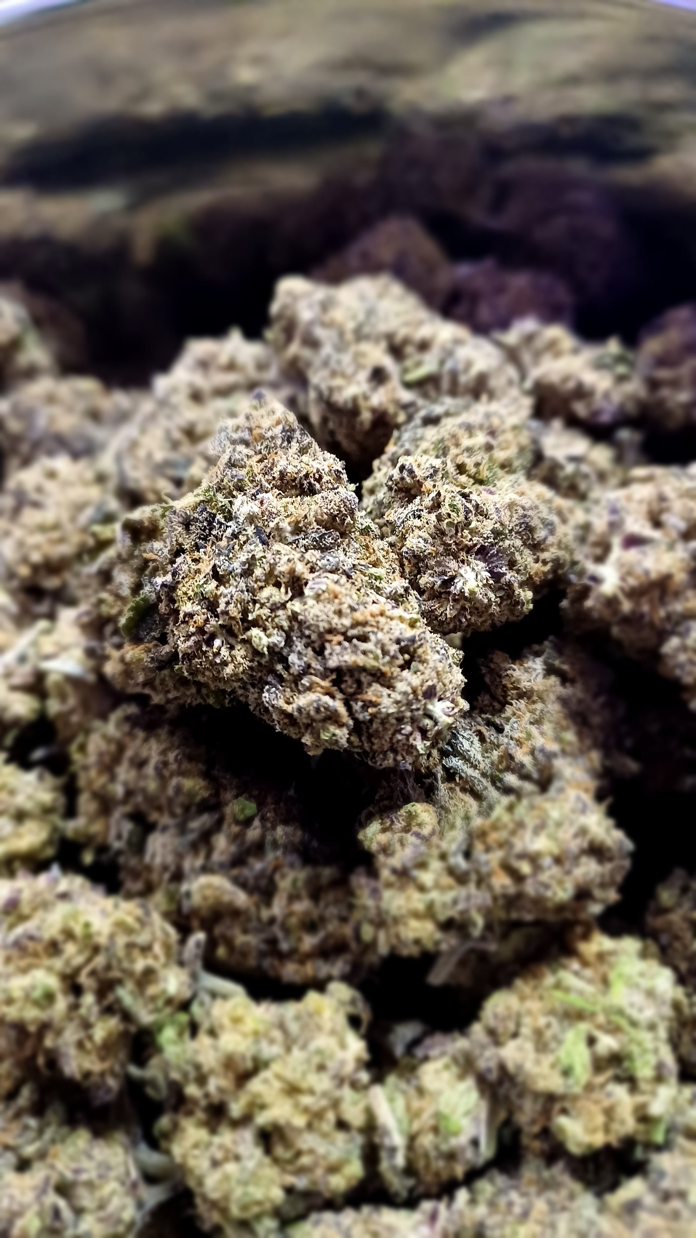 Black Widow – Indoor-CBD – 1 g | 3,5 g | 7 g