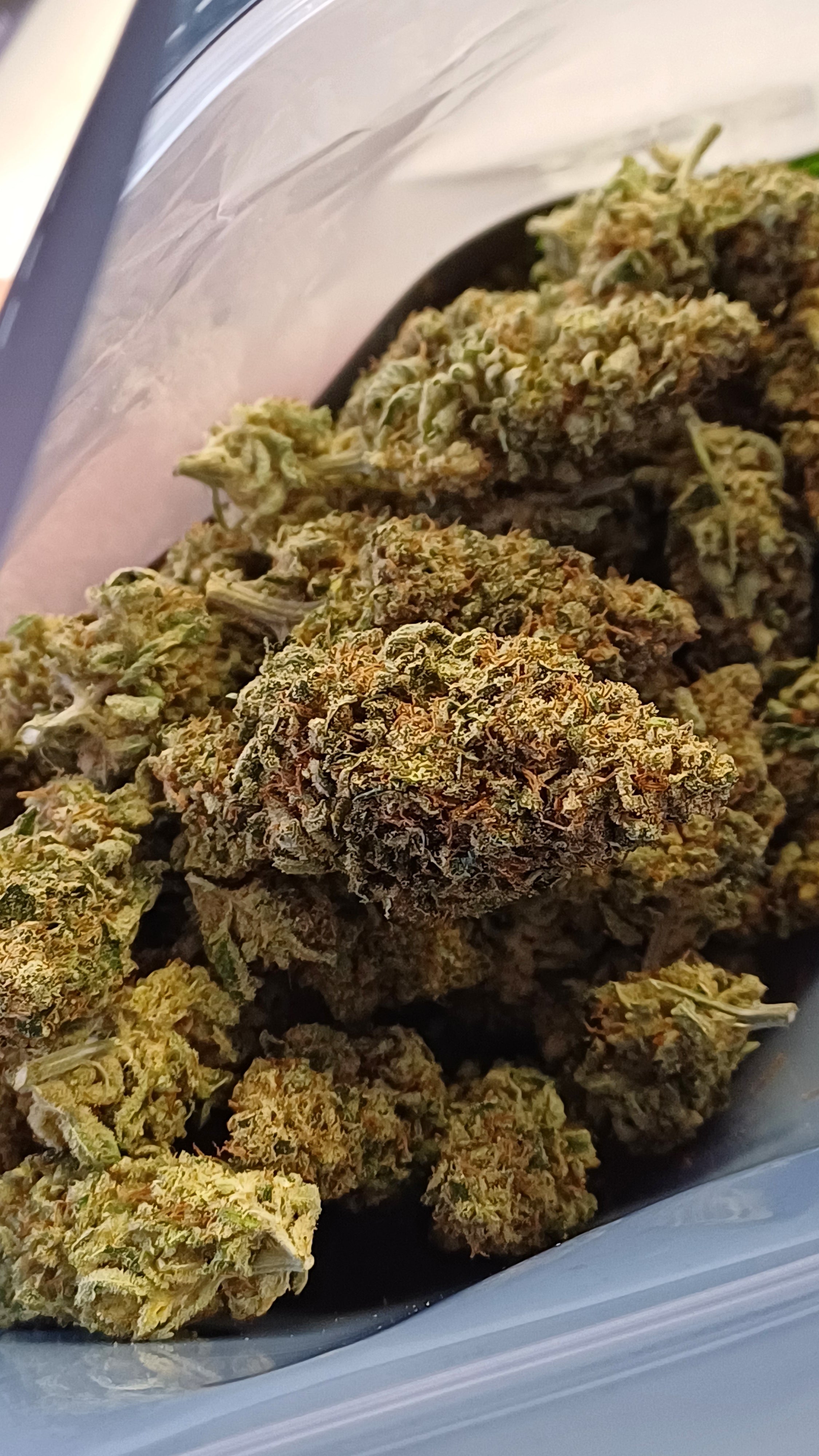 Orange Bitter - Indoor CBD - 1G | 3,5G | 7G