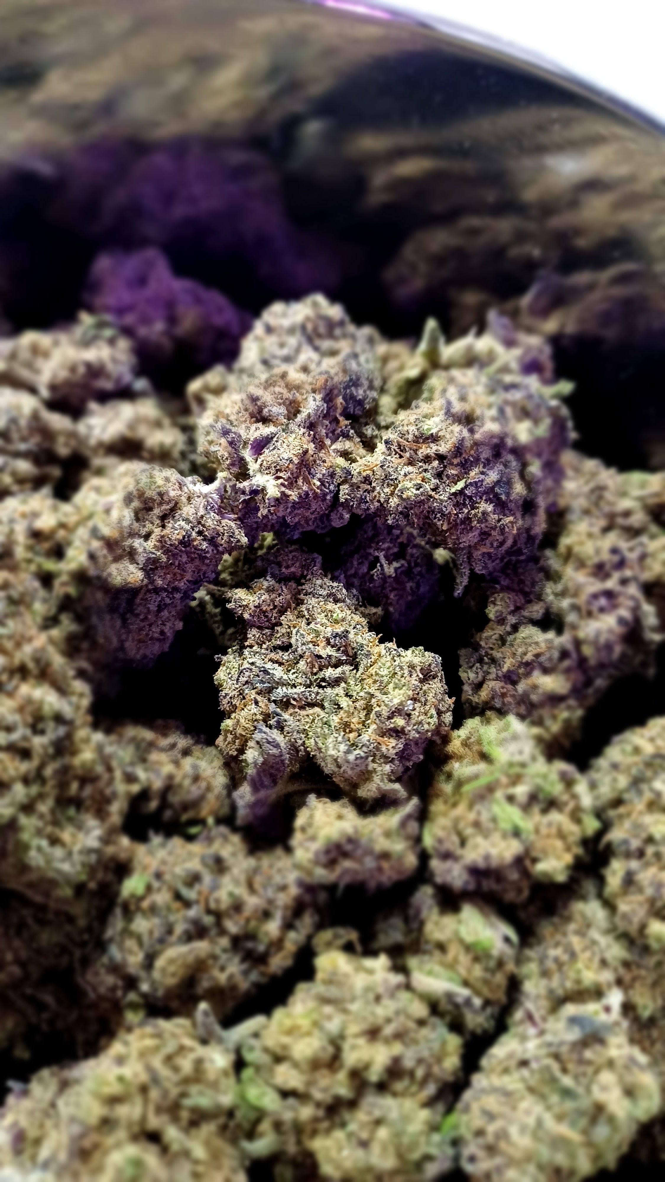 Black Widow – Indoor-CBD – 1 g | 3,5 g | 7 g